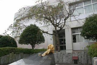 img_6616.jpg