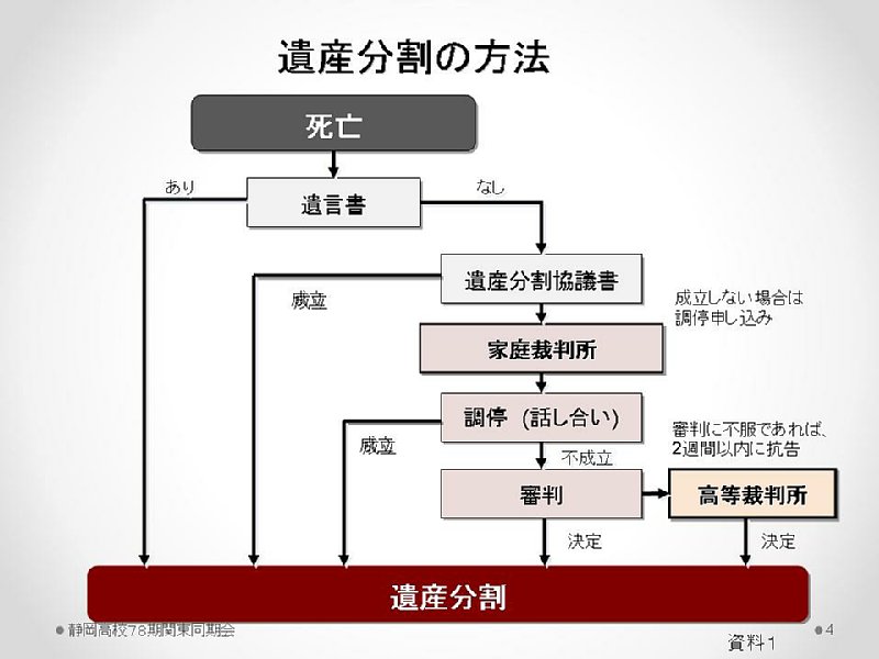 slide04.JPG