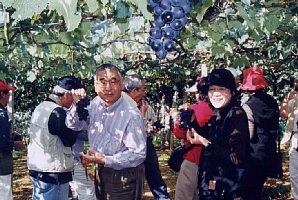 budou04.jpg