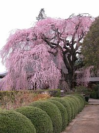 dscn0189.jpg