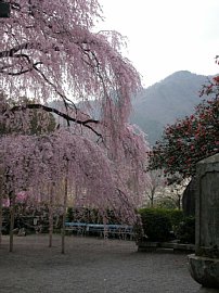 dscn0210.jpg