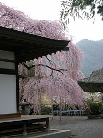 dscn0211.jpg