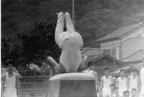 t06.jpg